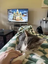 The day Haru came home