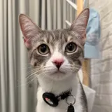 Haru's first birthday