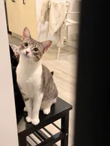 Haru's first birthday