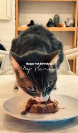 Haru's first birthday